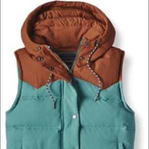 Patagonia Bivy Down Vest mushroom lining